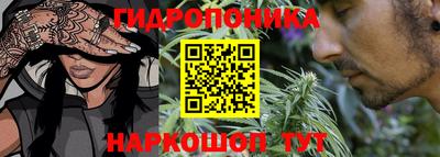 стаф Ливны