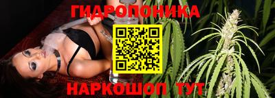 стаф Ливны