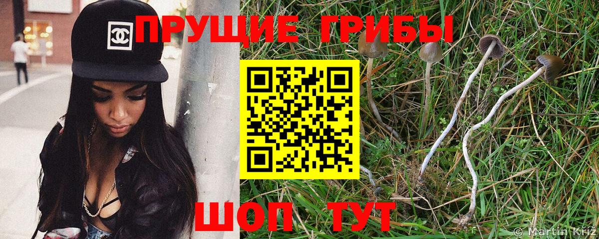 Псилоцибиновые грибы прущие грибы Ижевск