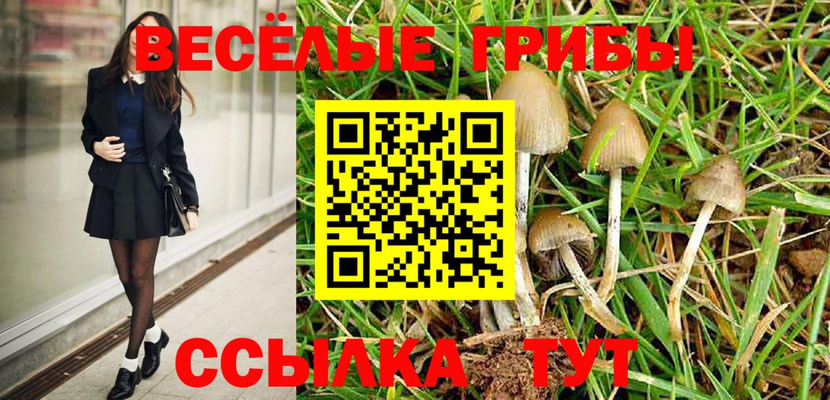 Галлюциногенные грибы Psilocybine cubensis  купить наркотики цена  Ижевск  Вход с VPN 